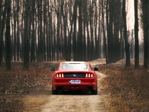 福特(进口) Mustang 2015款 2.3T 50周年纪念版